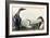 Black-Throated Diver-John James Audubon-Framed Giclee Print