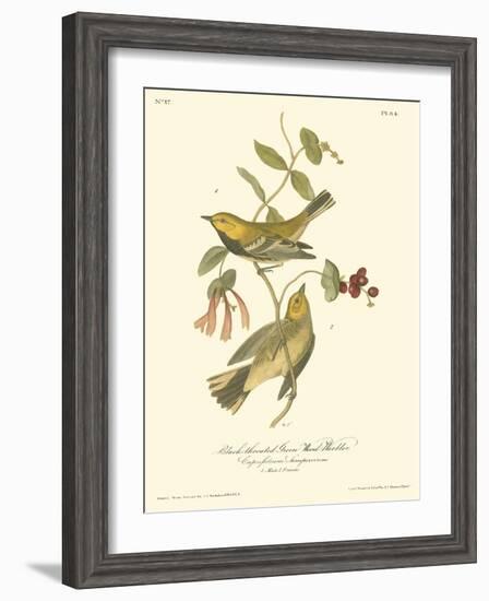 Black-throated Green Wood Warbler-John James Audubon-Framed Art Print