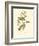 Black-throated Green Wood Warbler-John James Audubon-Framed Art Print