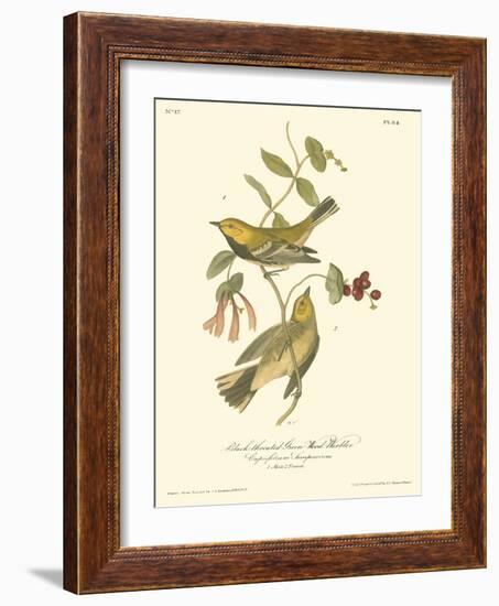 Black-throated Green Wood Warbler-John James Audubon-Framed Art Print