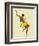 Black Thunder, Josephine Baker-Paul Colin-Framed Art Print