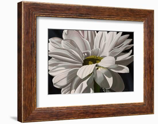 Black Tie Daisy-Ellen Macioce-Framed Photo