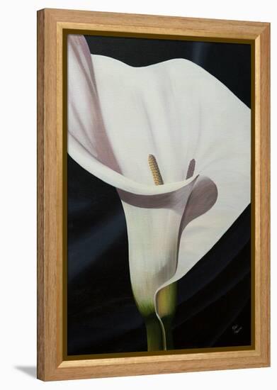 Black Tie Lily-Ellen Macioce-Framed Stretched Canvas