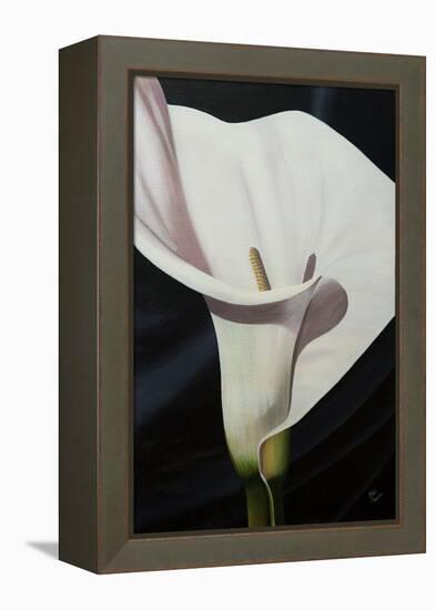 Black Tie Lily-Ellen Macioce-Framed Stretched Canvas