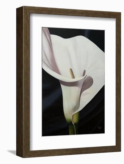 Black Tie Lily-Ellen Macioce-Framed Photo