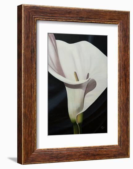 Black Tie Lily-Ellen Macioce-Framed Photo