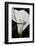 Black Tie Lily-Ellen Macioce-Framed Photo