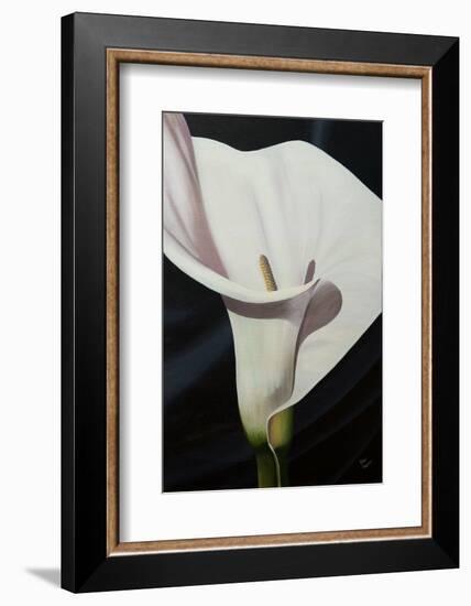 Black Tie Lily-Ellen Macioce-Framed Photo