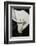 Black Tie Lily-Ellen Macioce-Framed Photo