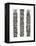 Black Tiki Totems-Cat Coquillette-Framed Premier Image Canvas