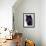 Black Timber Wolf Snarling, Utah, USA-David Northcott-Framed Photographic Print displayed on a wall