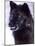 Black Timber Wolf Snarling, Utah, USA-David Northcott-Mounted Photographic Print