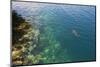 Black Tipped Sharks in the Crystal Clear Waters of the Marovo Lagoon, Solomon Islands, Pacific-Michael Runkel-Mounted Photographic Print