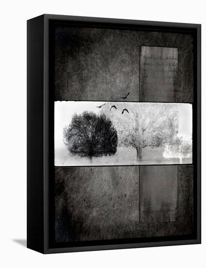 Black Tree 1-LightBoxJournal-Framed Premier Image Canvas