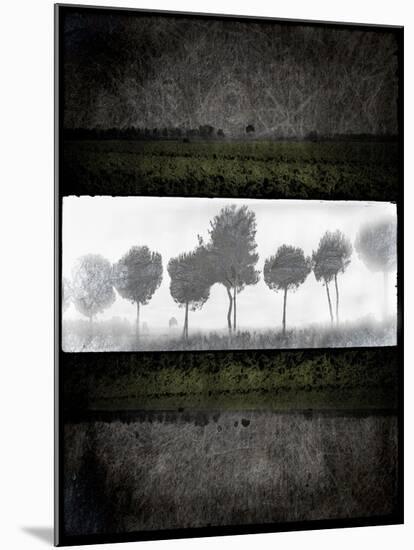 Black Tree 2-LightBoxJournal-Mounted Giclee Print