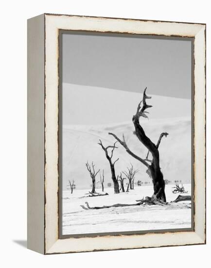 Black Trees-Howard Ruby-Framed Premier Image Canvas