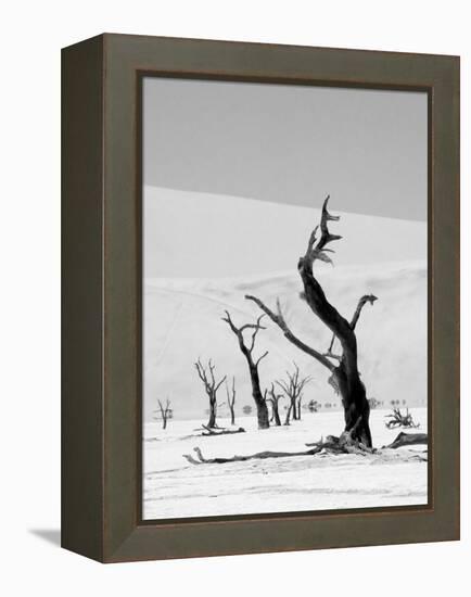 Black Trees-Howard Ruby-Framed Premier Image Canvas