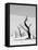 Black Trees-Howard Ruby-Framed Premier Image Canvas