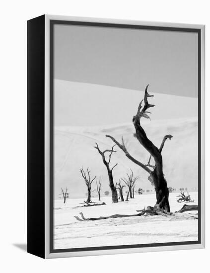 Black Trees-Howard Ruby-Framed Premier Image Canvas