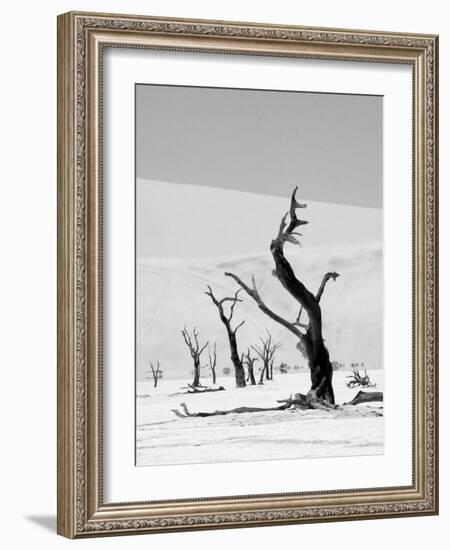 Black Trees-Howard Ruby-Framed Photographic Print