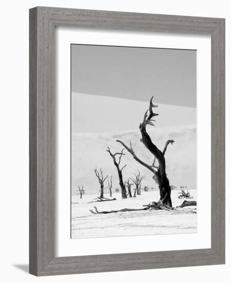 Black Trees-Howard Ruby-Framed Photographic Print