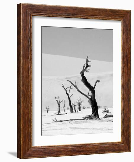 Black Trees-Howard Ruby-Framed Photographic Print