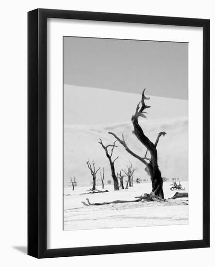 Black Trees-Howard Ruby-Framed Photographic Print