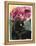 Black Tulips-Anne Robinson-Framed Premier Image Canvas