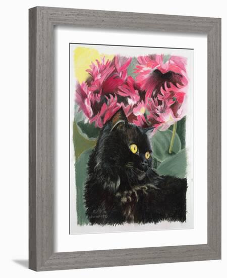 Black Tulips-Anne Robinson-Framed Giclee Print