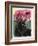 Black Tulips-Anne Robinson-Framed Giclee Print