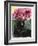 Black Tulips-Anne Robinson-Framed Giclee Print