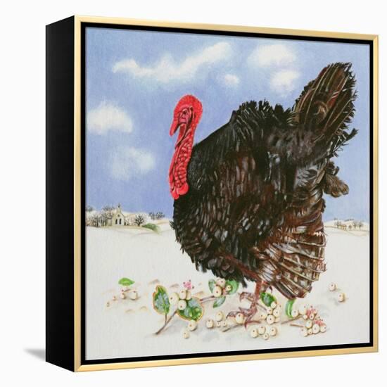 Black Turkey with Snow Berries, 1996-E.B. Watts-Framed Premier Image Canvas