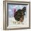 Black Turkey with Snow Berries, 1996-E.B. Watts-Framed Giclee Print