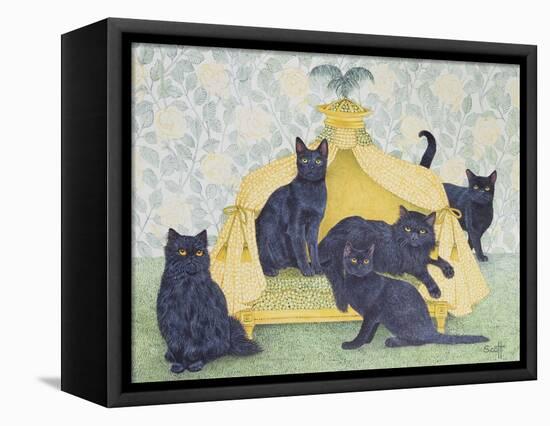 Black Velvet-Pat Scott-Framed Premier Image Canvas