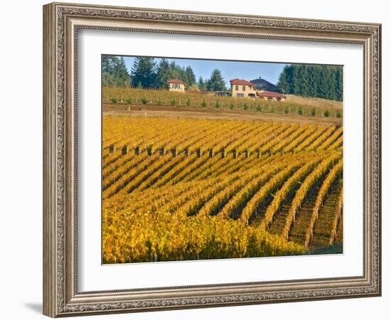 Black Walnut Inn and Vineyards of Bella Vida and Maresh, Dundee, Oregon, USA-Janis Miglavs-Framed Photographic Print