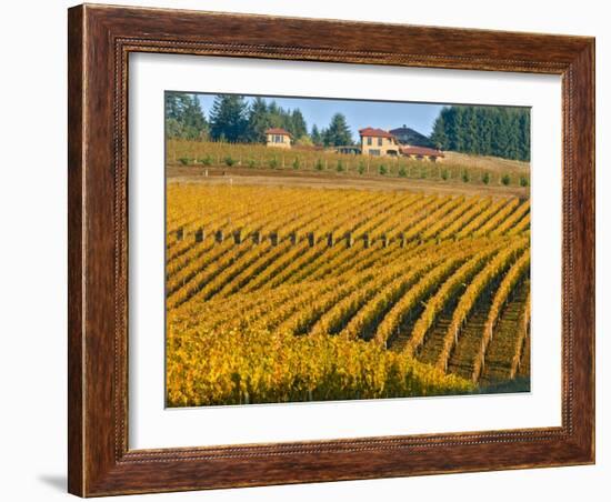 Black Walnut Inn and Vineyards of Bella Vida and Maresh, Dundee, Oregon, USA-Janis Miglavs-Framed Photographic Print