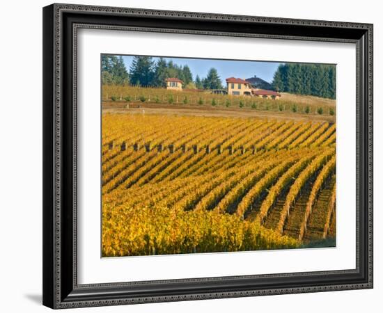 Black Walnut Inn and Vineyards of Bella Vida and Maresh, Dundee, Oregon, USA-Janis Miglavs-Framed Photographic Print