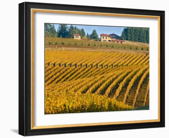 Black Walnut Inn and Vineyards of Bella Vida and Maresh, Dundee, Oregon, USA-Janis Miglavs-Framed Photographic Print