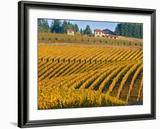 Black Walnut Inn and Vineyards of Bella Vida and Maresh, Dundee, Oregon, USA-Janis Miglavs-Framed Photographic Print