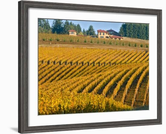 Black Walnut Inn and Vineyards of Bella Vida and Maresh, Dundee, Oregon, USA-Janis Miglavs-Framed Photographic Print