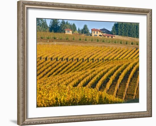 Black Walnut Inn and Vineyards of Bella Vida and Maresh, Dundee, Oregon, USA-Janis Miglavs-Framed Photographic Print