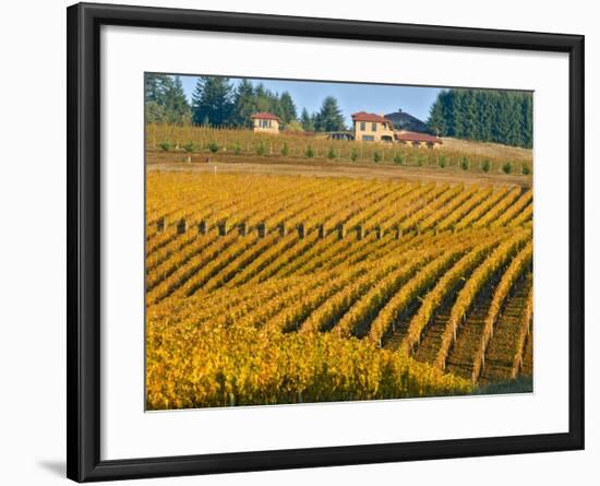 Black Walnut Inn and Vineyards of Bella Vida and Maresh, Dundee, Oregon, USA-Janis Miglavs-Framed Photographic Print