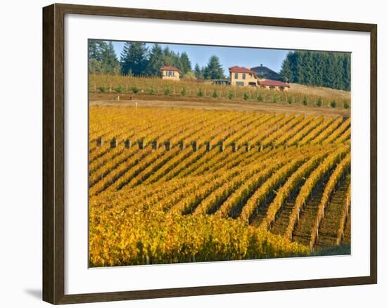 Black Walnut Inn and Vineyards of Bella Vida and Maresh, Dundee, Oregon, USA-Janis Miglavs-Framed Photographic Print