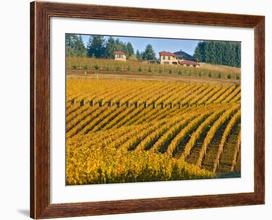 Black Walnut Inn and Vineyards of Bella Vida and Maresh, Dundee, Oregon, USA-Janis Miglavs-Framed Photographic Print