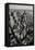 Black & White Aerial View of Nyc. Vertical New York.-Francois Roux-Framed Premier Image Canvas