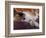 Black, White and Cream Mackerel Tabby Persian Cat Resting in Armchair-Adriano Bacchella-Framed Photographic Print