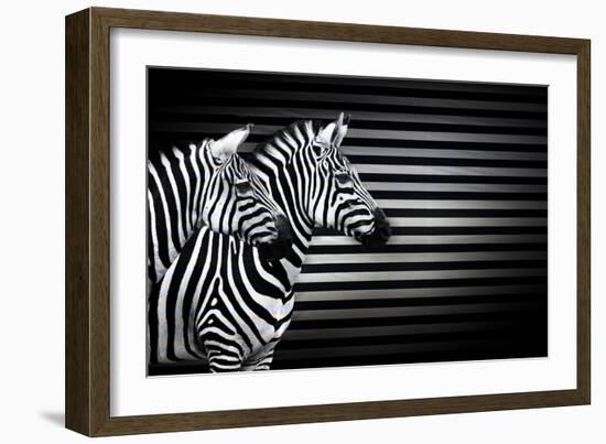 Black White And Zebras-Andre Villeneuve-Framed Photographic Print