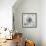 Black & White Dalia 4-Suzanne Foschino-Framed Photo displayed on a wall