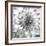 Black & White Dalia 4-Suzanne Foschino-Framed Photo