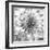 Black & White Dalia 4-Suzanne Foschino-Framed Photo